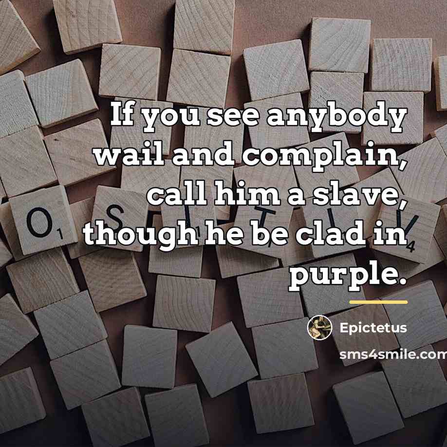 “If you see anybody wail and complain, call him a…” quote by Epictetus