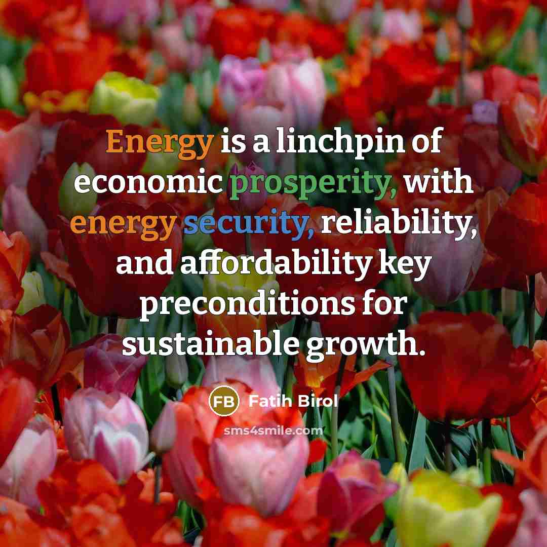 “Energy is a linchpin of economic prosperity, with energy security,…” quote by Fatih Birol