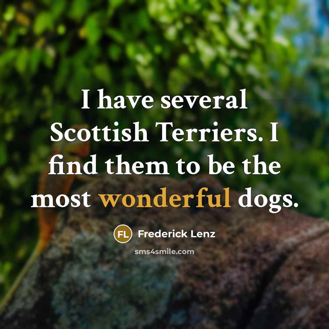 “I have several Scottish Terriers. I find them to be the most wonderful dogs.” quote by Frederick Lenz