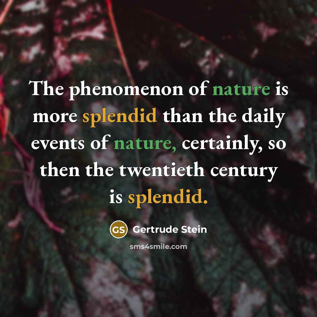 “The phenomenon of nature is more splendid than the daily…” quote by Gertrude Stein