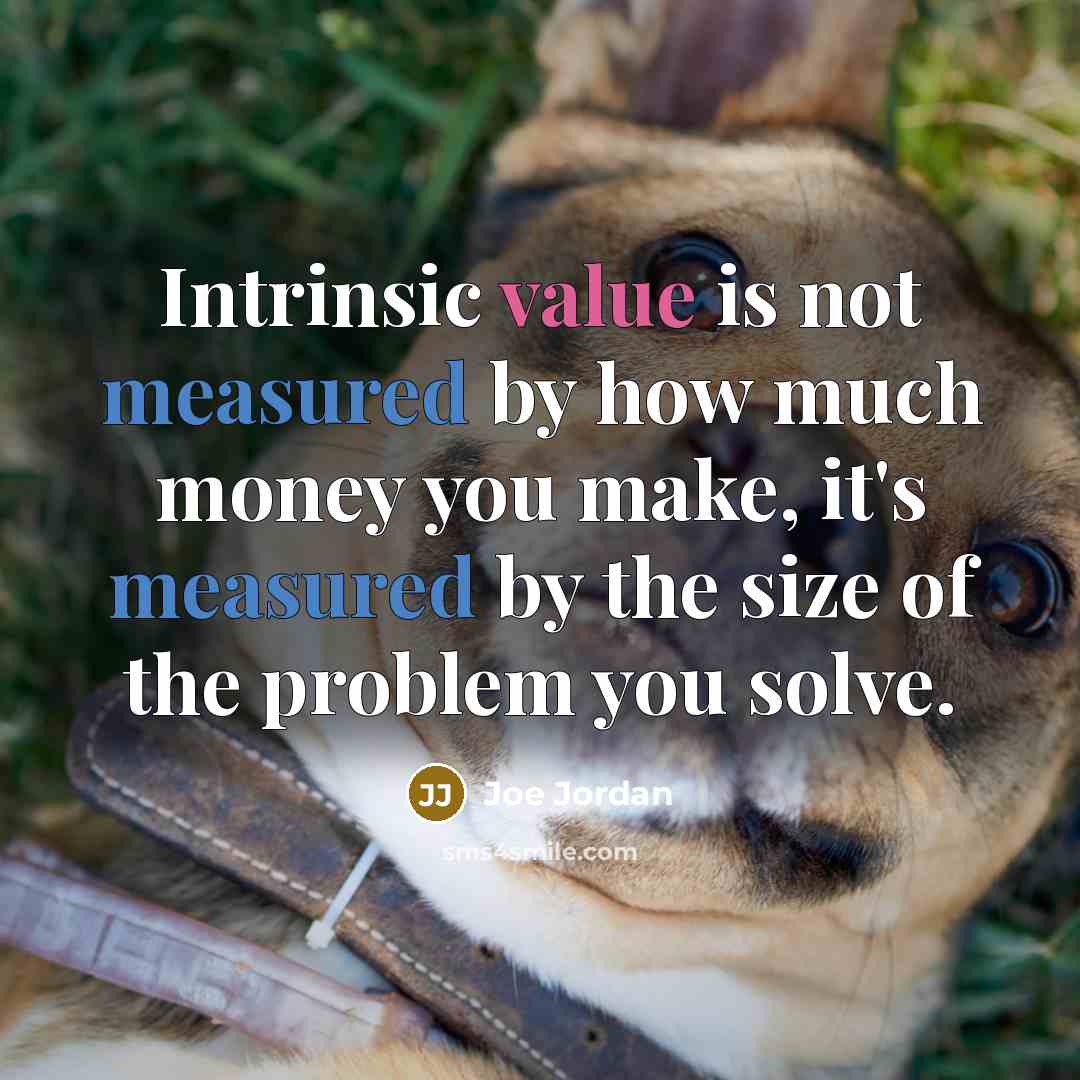 “Intrinsic value is not measured by how much money you…” quote by Joe Jordan