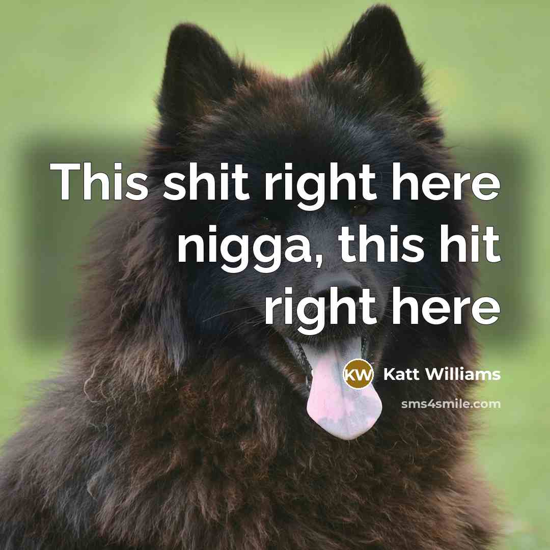 “This shit right here nigga, this hit right here” quote by Katt Williams