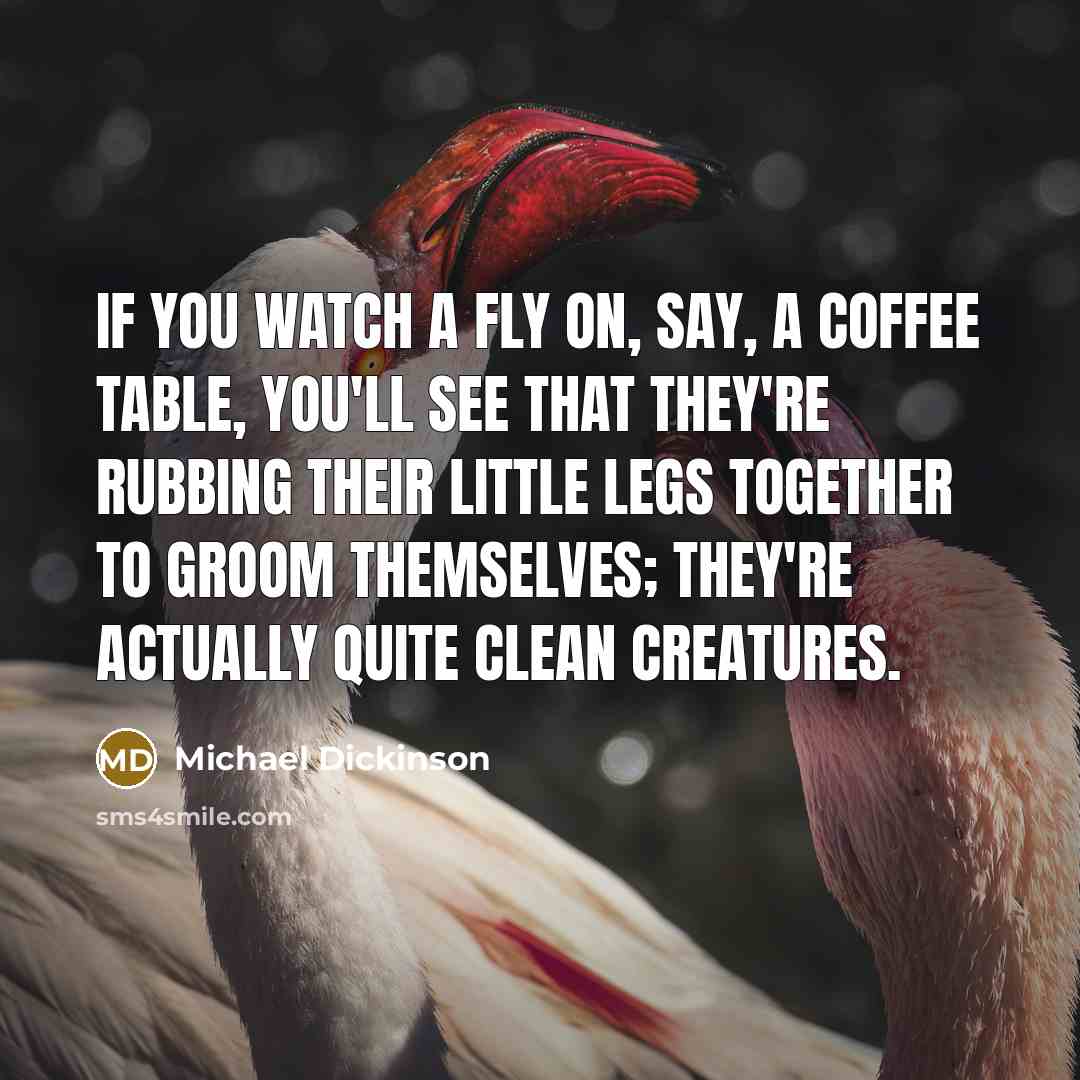 “If you watch a fly on, say, a coffee table,…” quote by Michael Dickinson