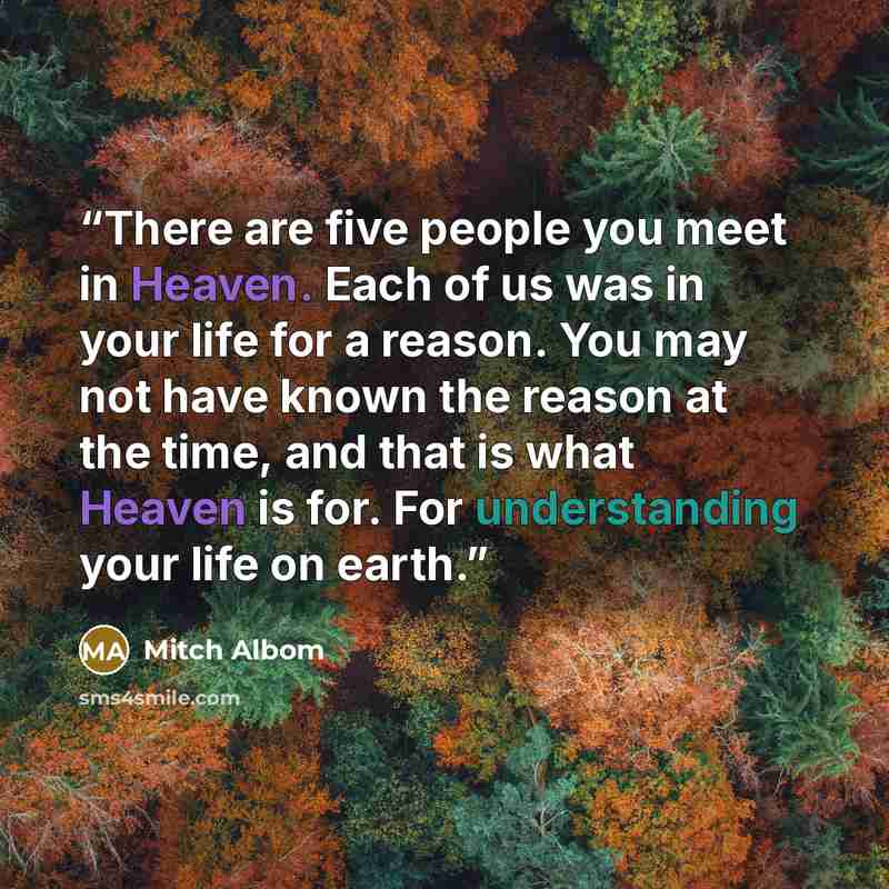 “There are five people you meet in Heaven. Each of us was in your life for a reason. You may not have known the reason at the time, and that is what Heaven is for. For understanding your life on earth.” quote by Mitch Albom