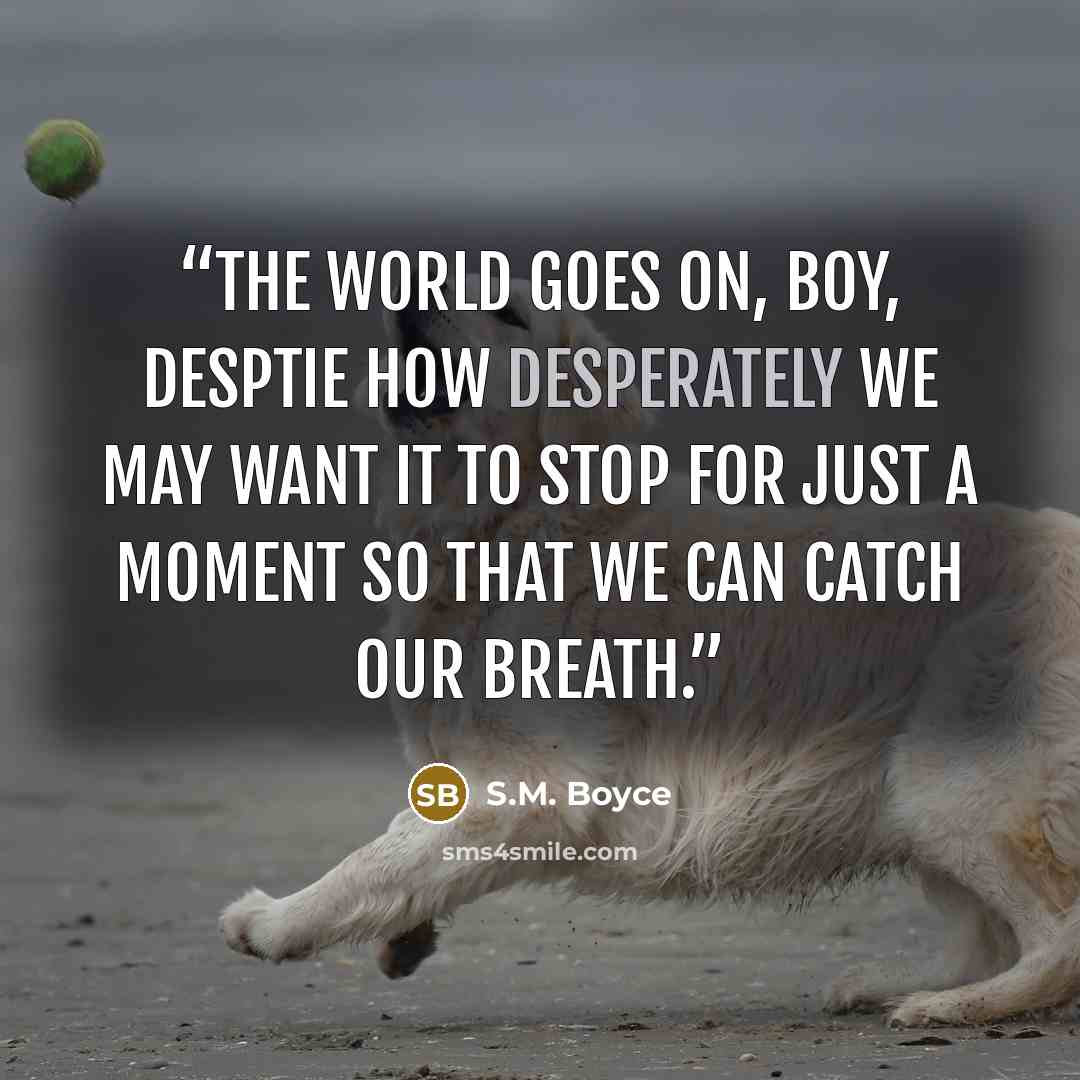 “The world goes on, boy, desptie how desperately we may want it to stop for just a moment so that we can catch our breath.” quote by S.M. Boyce