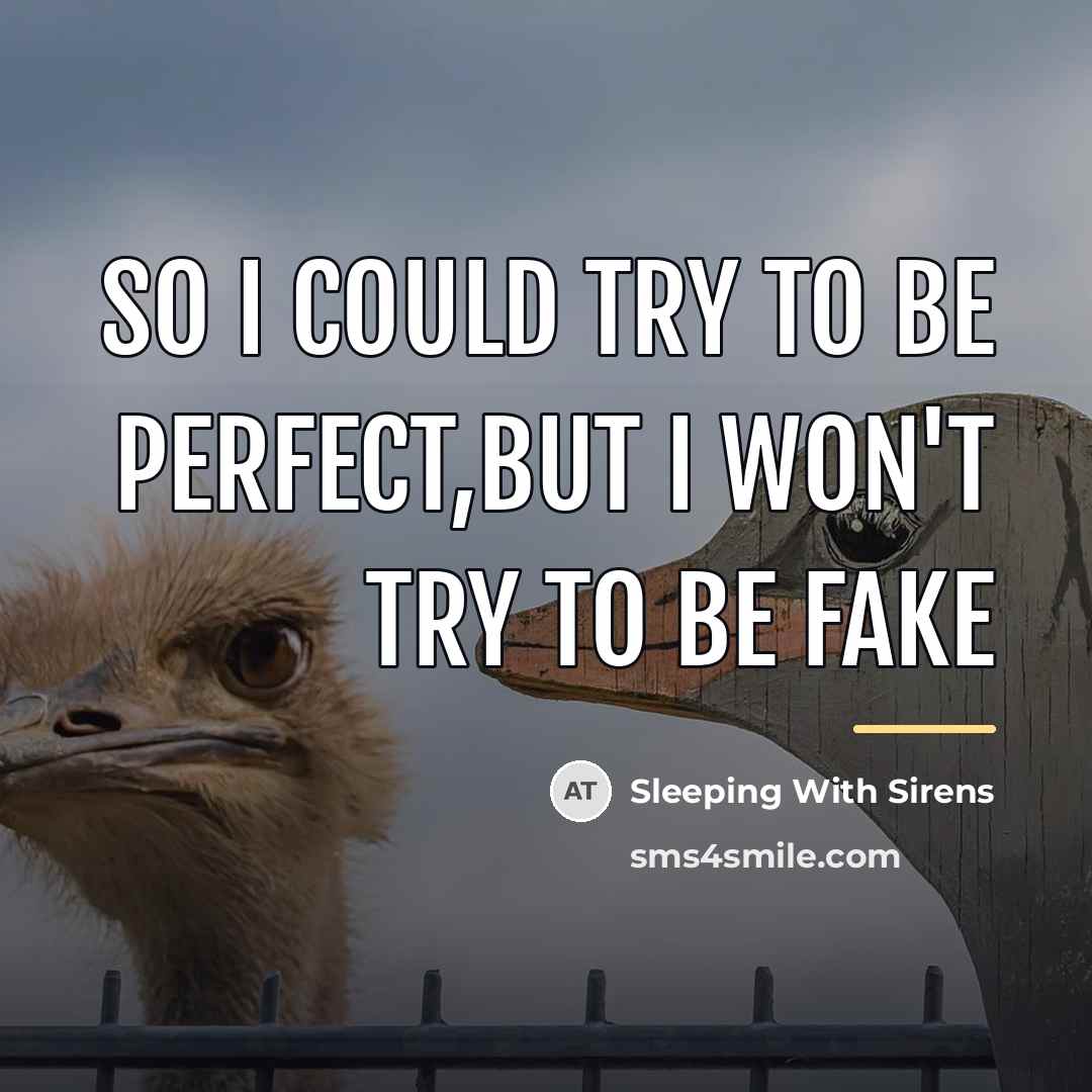 “So I could try to be perfect,But I won't try…” quote by Sleeping With Sirens