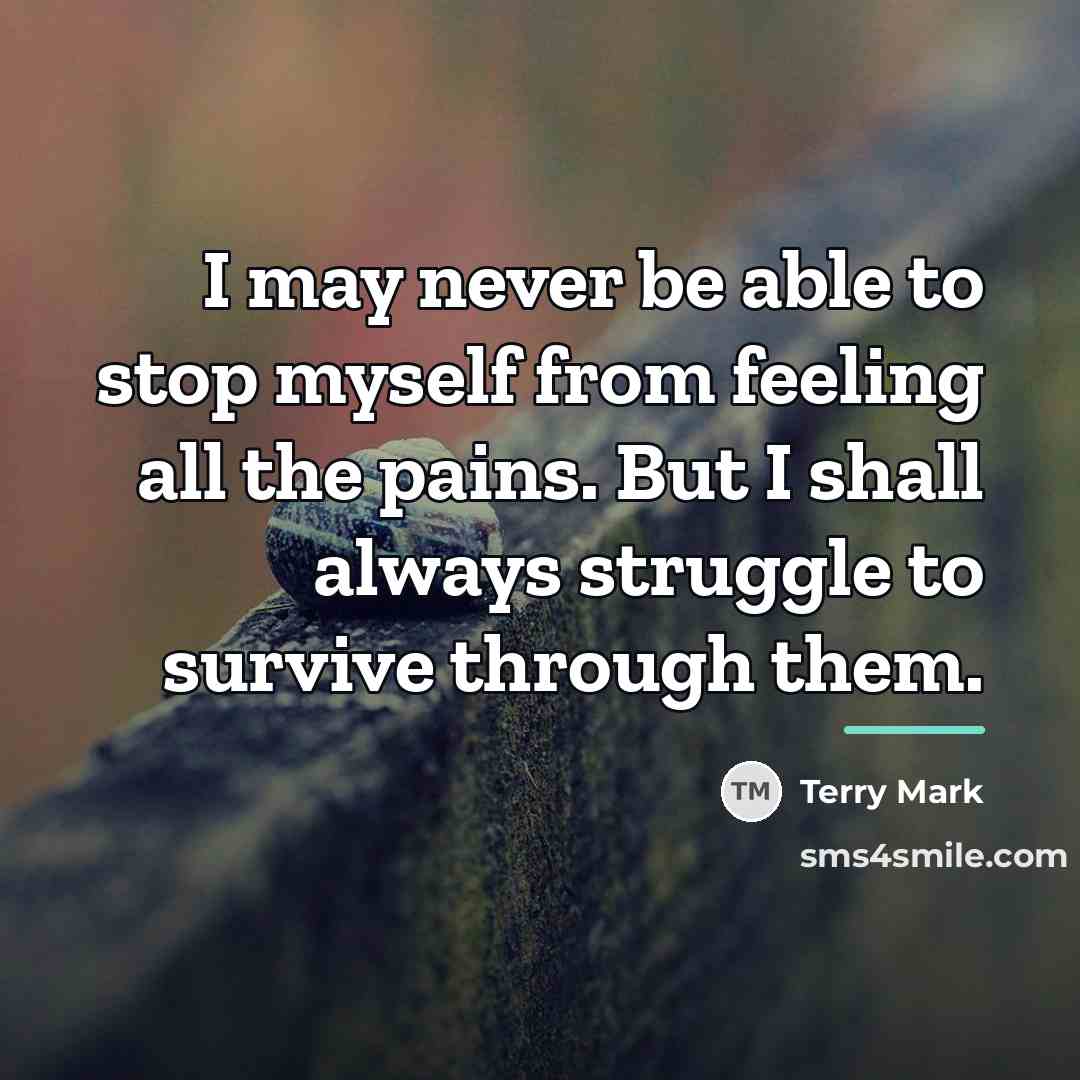 “I may never be able to stop myself from feeling…” quote by Terry Mark