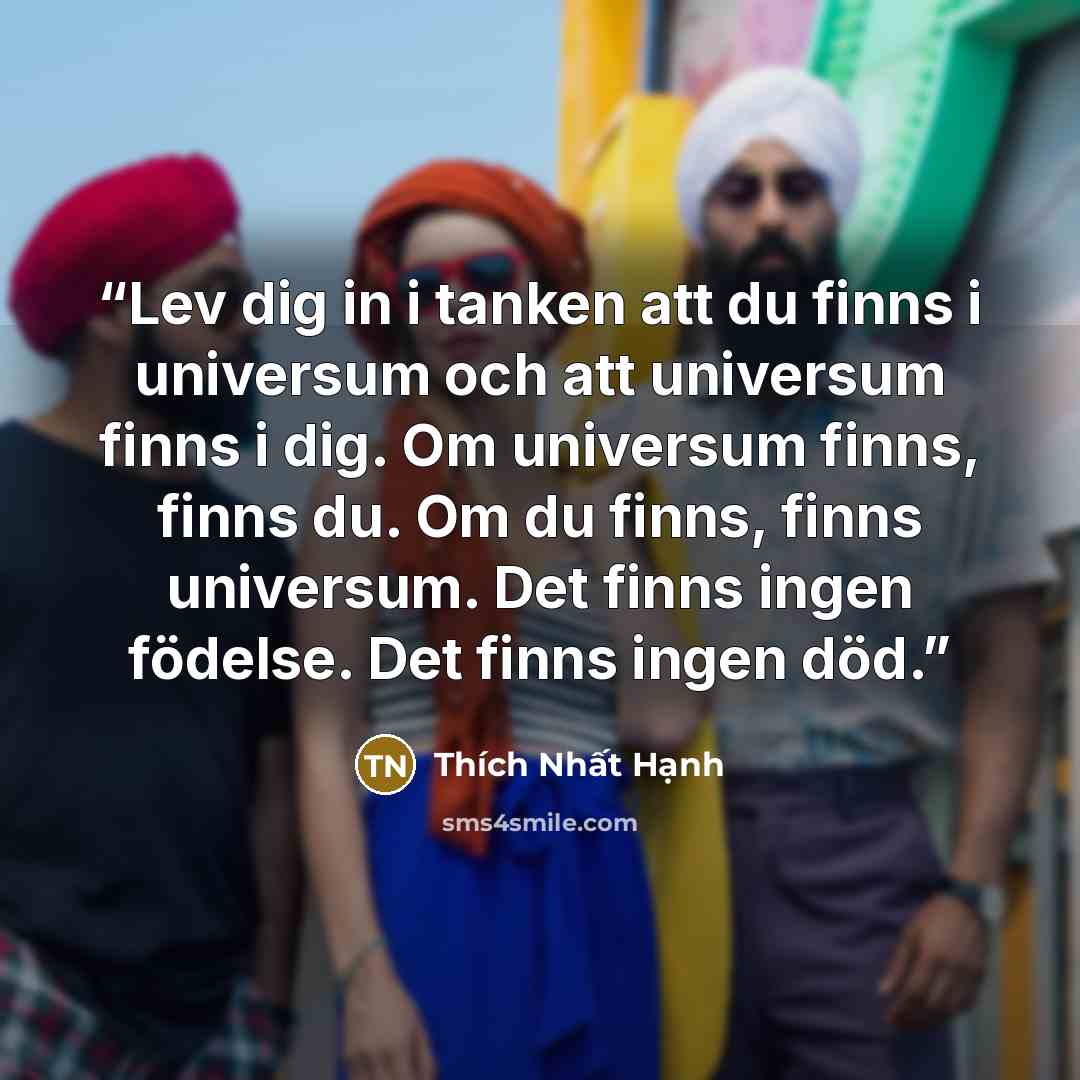 “Lev dig in i tanken att du finns i universum och att universum finns i dig. Om universum finns, finns du. Om du finns, finns universum. Det finns ingen födelse. Det finns ingen död.” quote by Thich Nhat Hanh