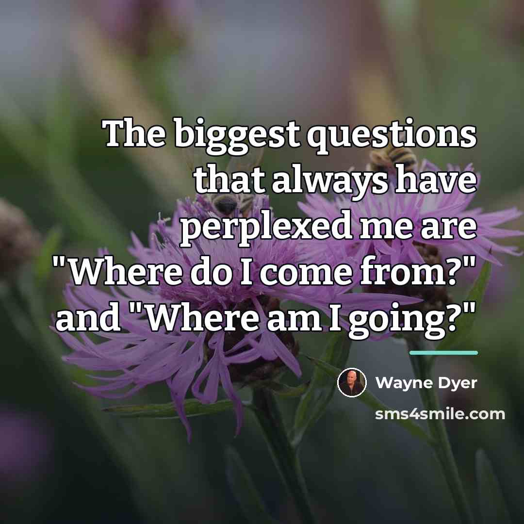 “The biggest questions that always have perplexed me are "Where…” quote by Wayne Dyer