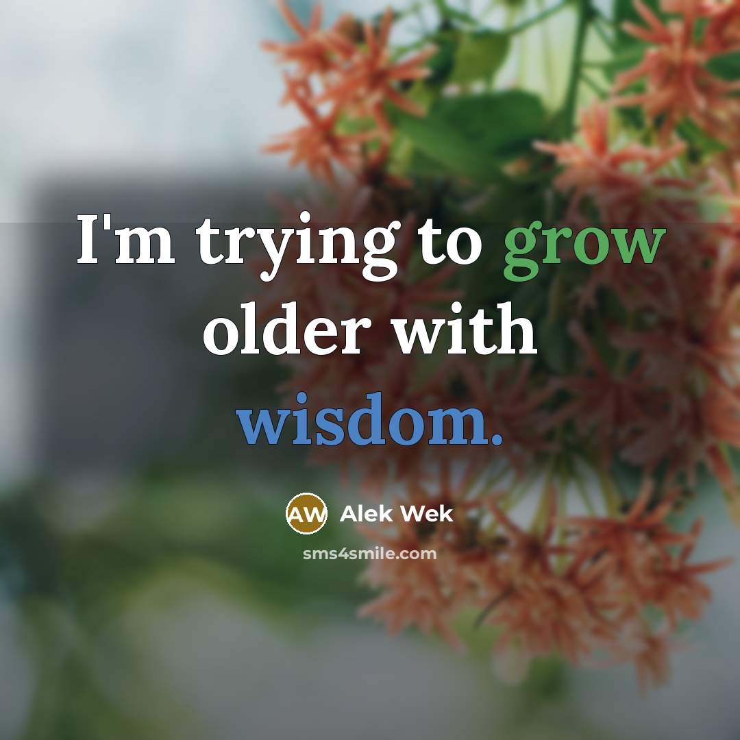 “I'm trying to grow older with wisdom.…” quote by Alek Wek