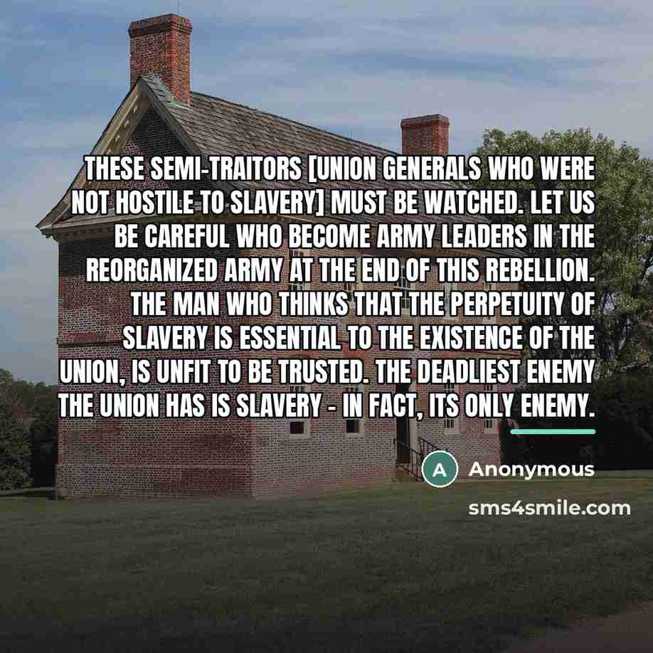 “These semi-traitors [Union generals who were not hostile to slavery]…” quote by Anonymous