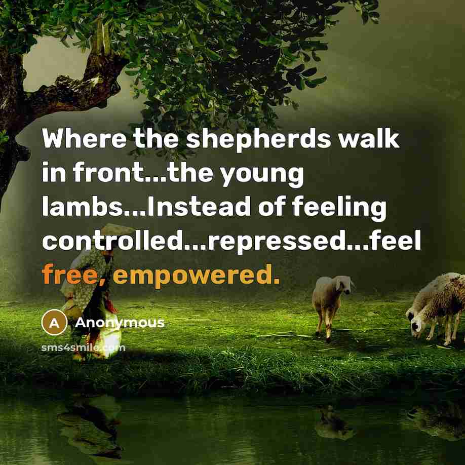 “Where the shepherds walk in front...the young lambs...Instead of feeling controlled...repressed...feel free, empowered.” quote by Anonymous