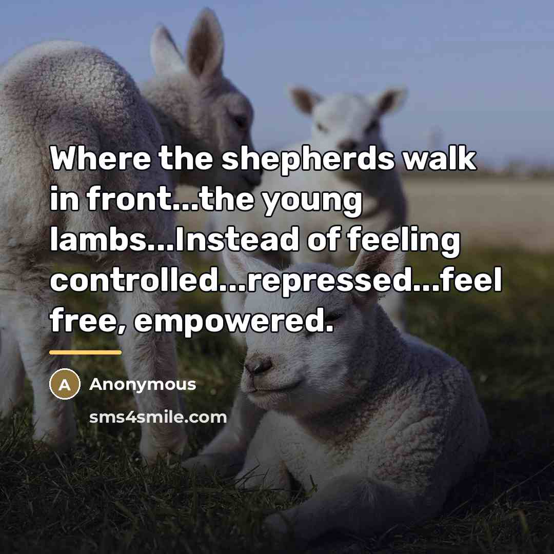 “Where the shepherds walk in front...the young lambs...Instead of feeling…” quote by Anonymous