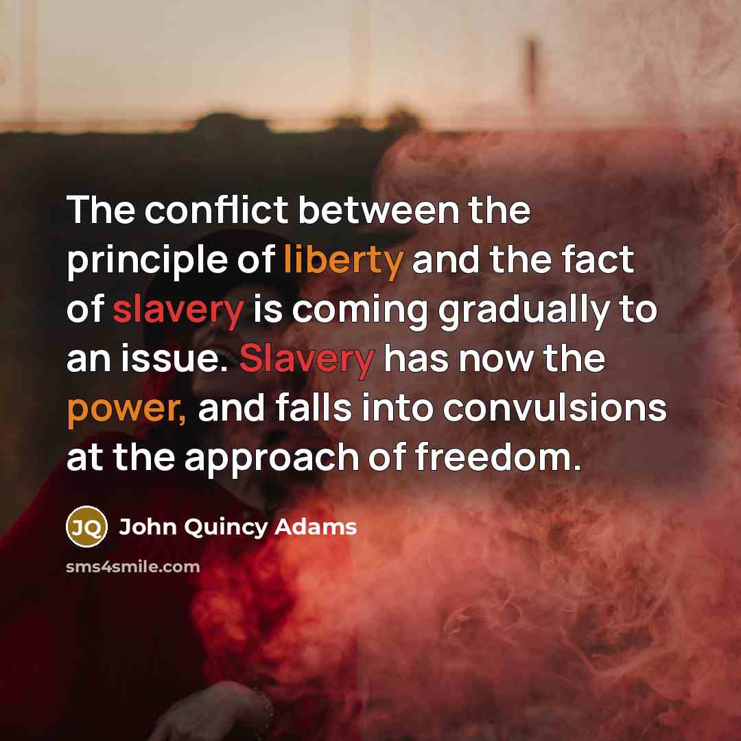 “The conflict between the principle of liberty and the fact…” quote by John Quincy Adams