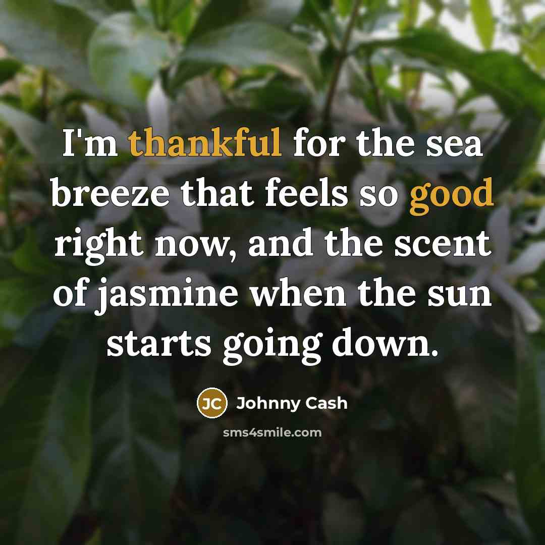 “I'm thankful for the sea breeze that feels so good…” quote by Johnny Cash