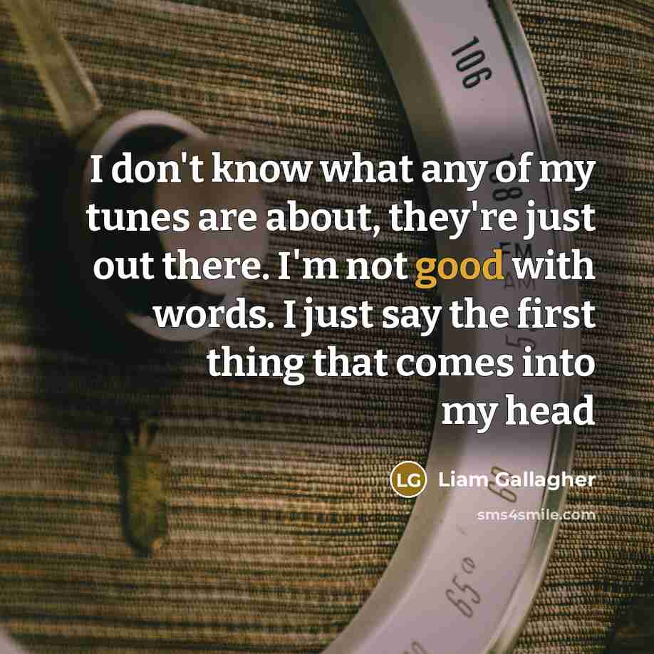 “I don't know what any of my tunes are about,…” quote by Liam Gallagher
