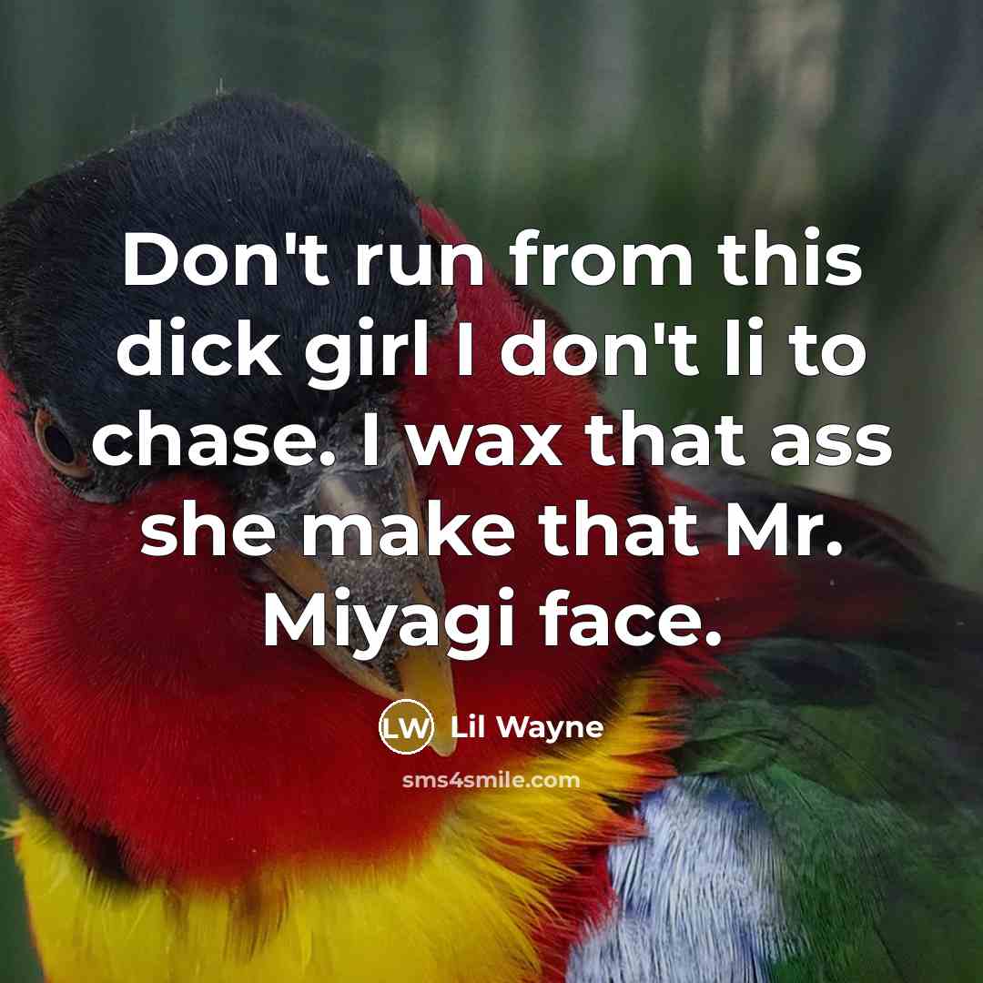 “Don't run from this dick girl I don't li to…” quote by Lil Wayne