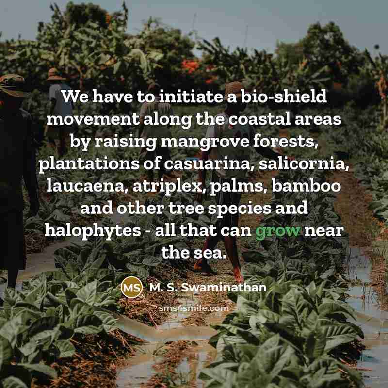 “We have to initiate a bio-shield movement along the coastal…” quote by M. S. Swaminathan