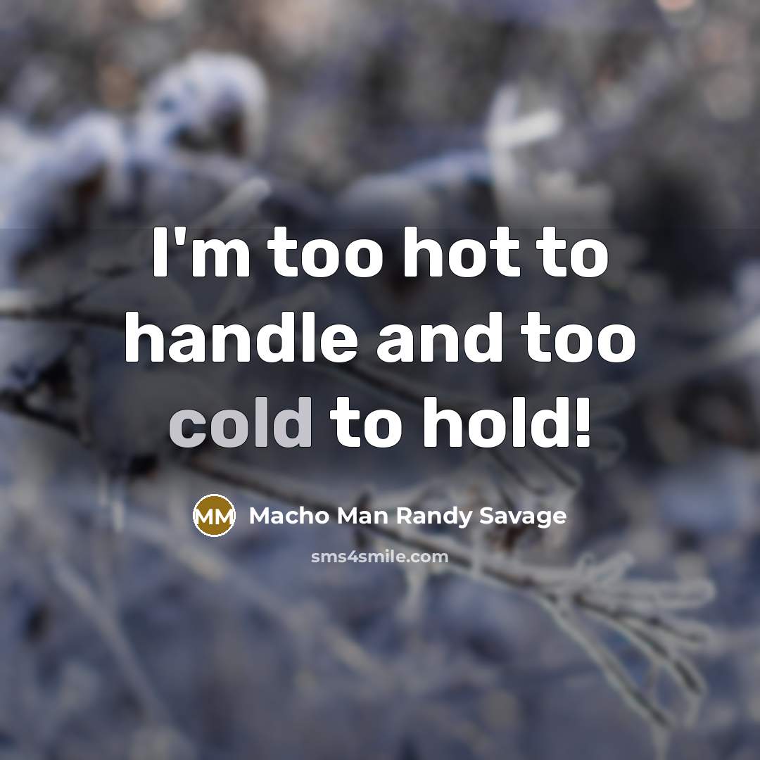 “I'm too hot to handle and too cold to hold!” quote by Macho Man Randy Savage