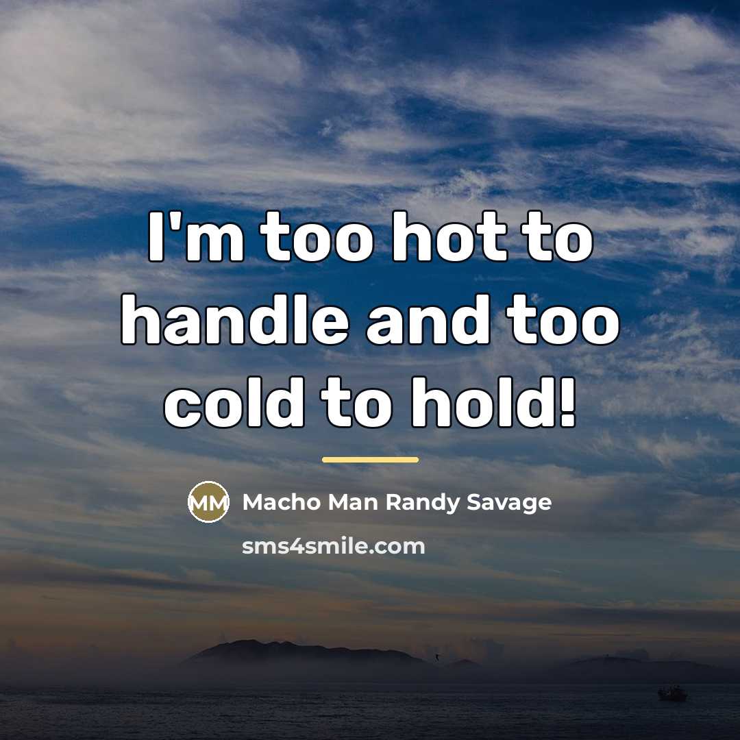 “I'm too hot to handle and too cold to hold!…” quote by Macho Man Randy Savage