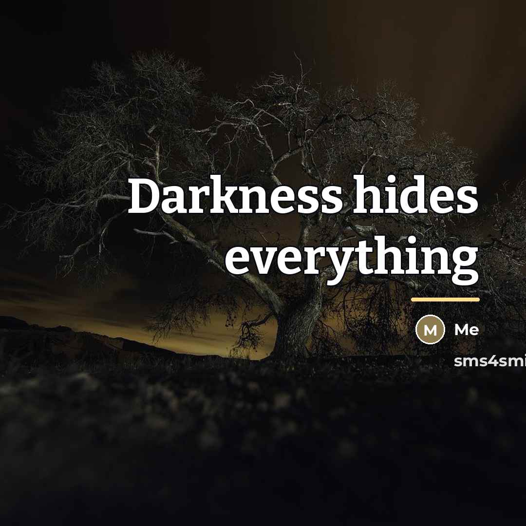 “Darkness hides everything…” quote by Me