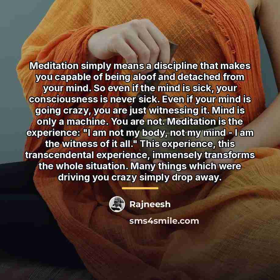 “Meditation simply means a discipline that makes you capable of…” quote by Rajneesh