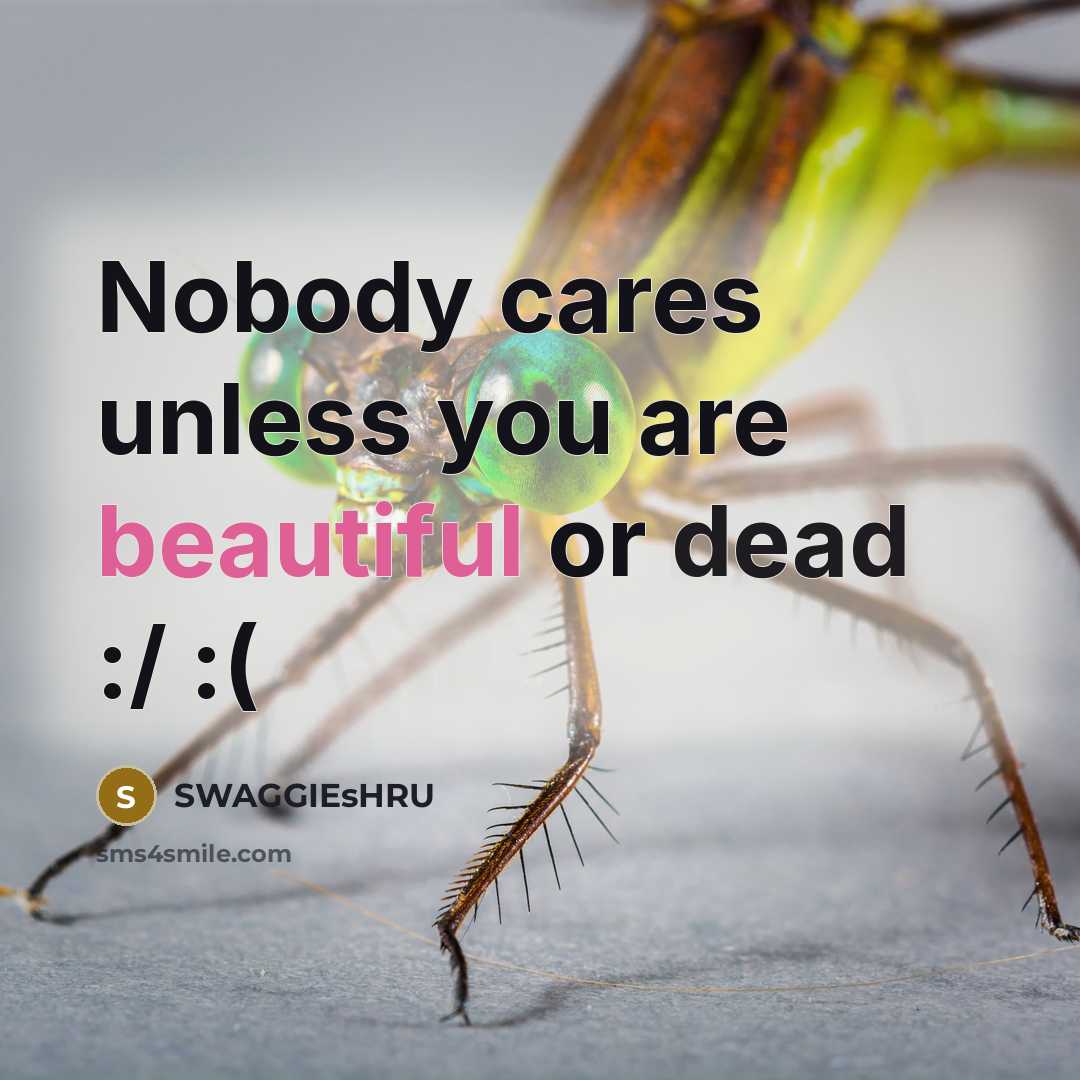 “Nobody cares unless you are beautiful or dead :/ :(” quote by SWAGGIEsHRU