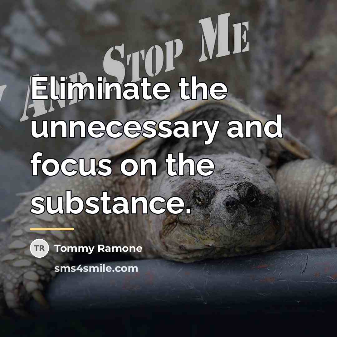 “Eliminate the unnecessary and focus on the substance.…” quote by Tommy Ramone