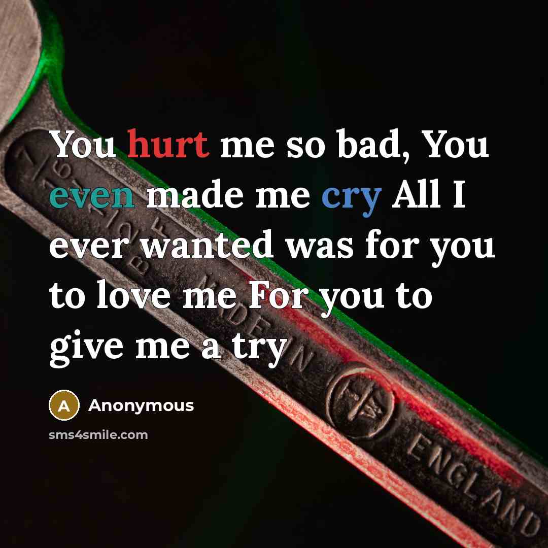 “You hurt me so bad, You even made me cry All I ever wanted was for you to love me For you to give me a try” quote by Anonymous