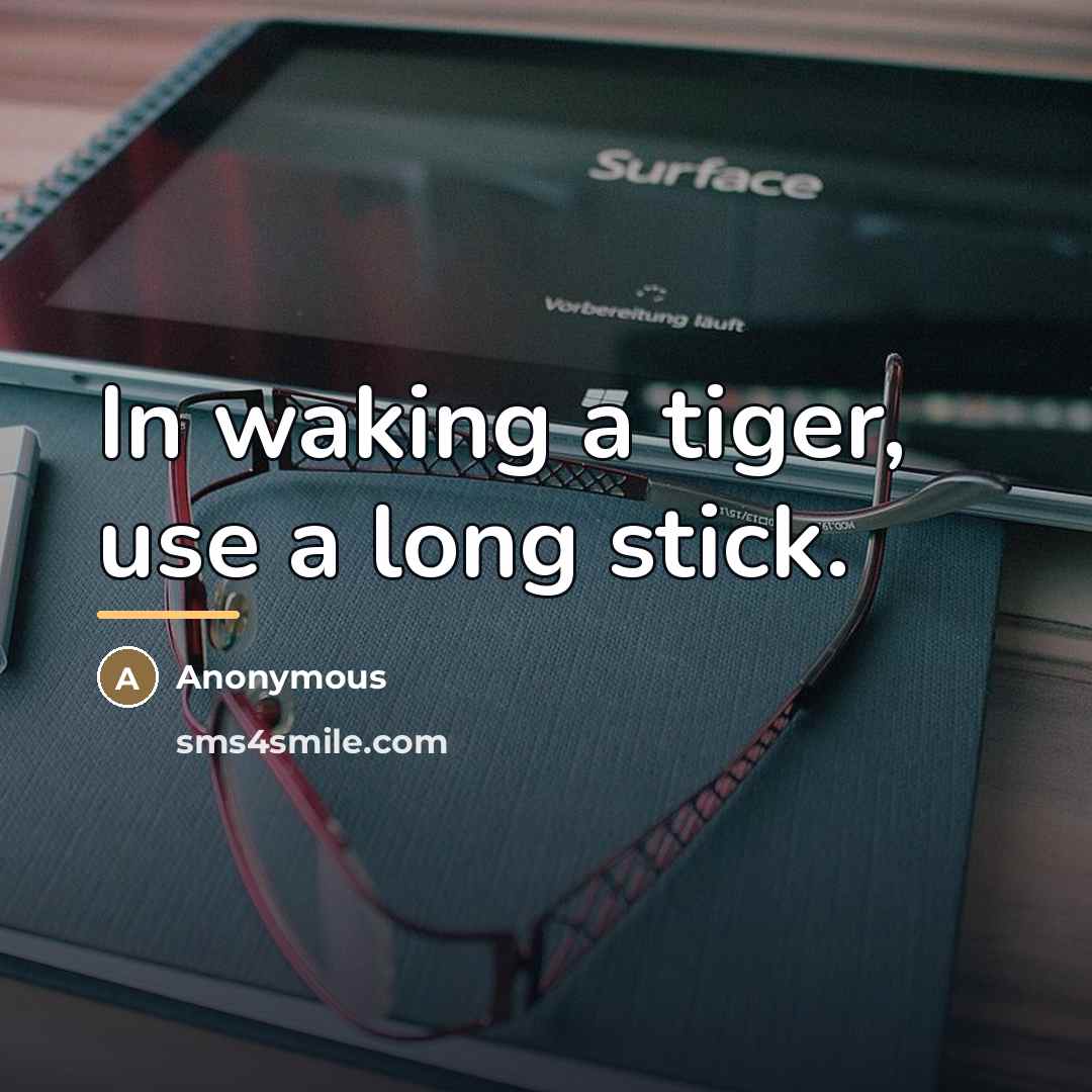 “In waking a tiger, use a long stick.…” quote by Anonymous