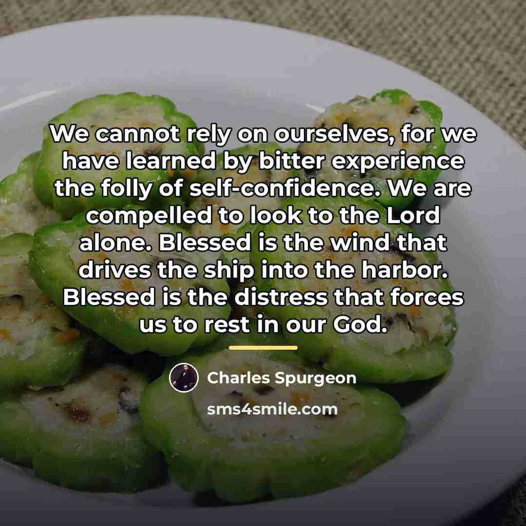 “We cannot rely on ourselves, for we have learned by…” quote by Charles Spurgeon