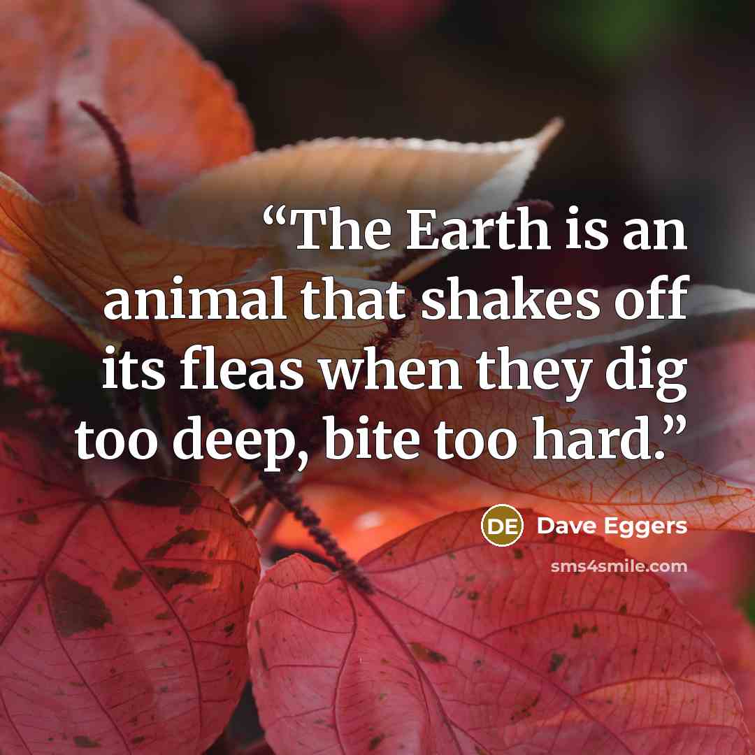 “The Earth is an animal that shakes off its fleas when they dig too deep, bite too hard.” quote by Dave Eggers