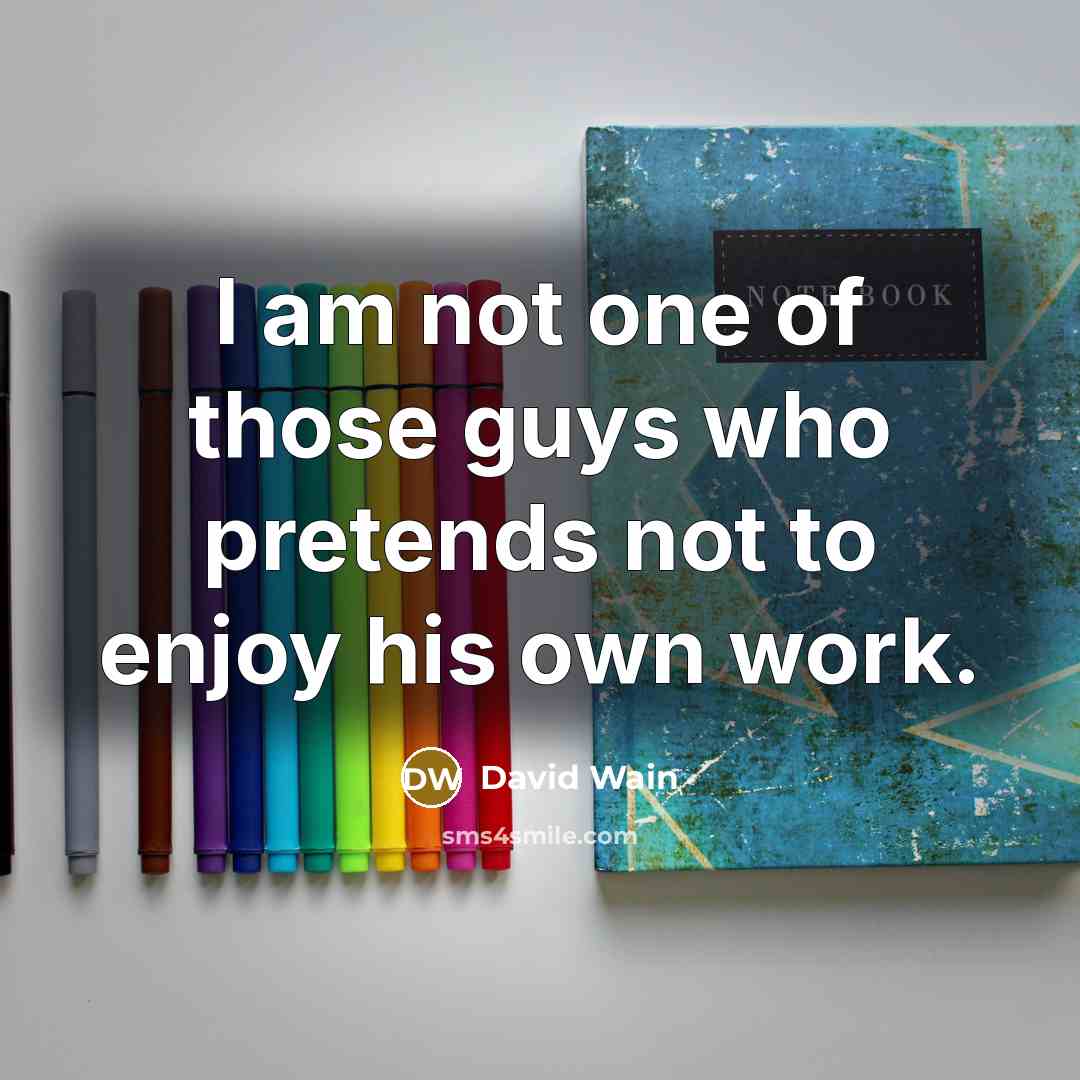 “I am not one of those guys who pretends not…” quote by David Wain