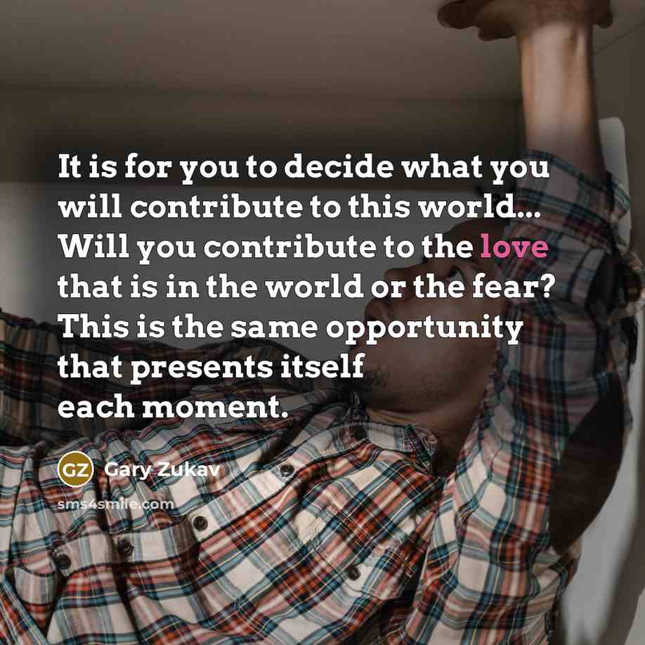 “It is for you to decide what you will contribute…” quote by Gary Zukav