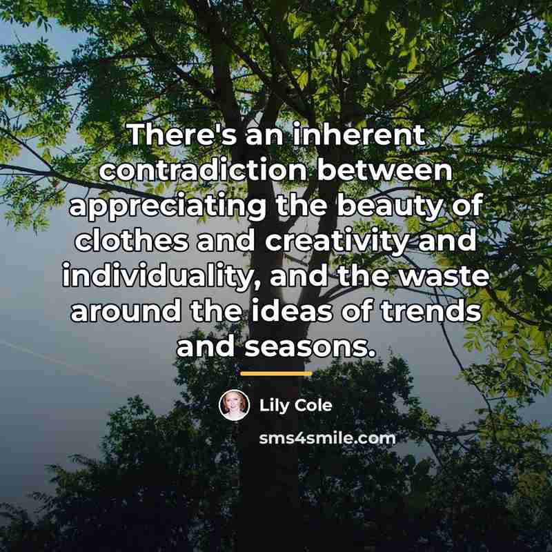“There's an inherent contradiction between appreciating the beauty of clothes…” quote by Lily Cole