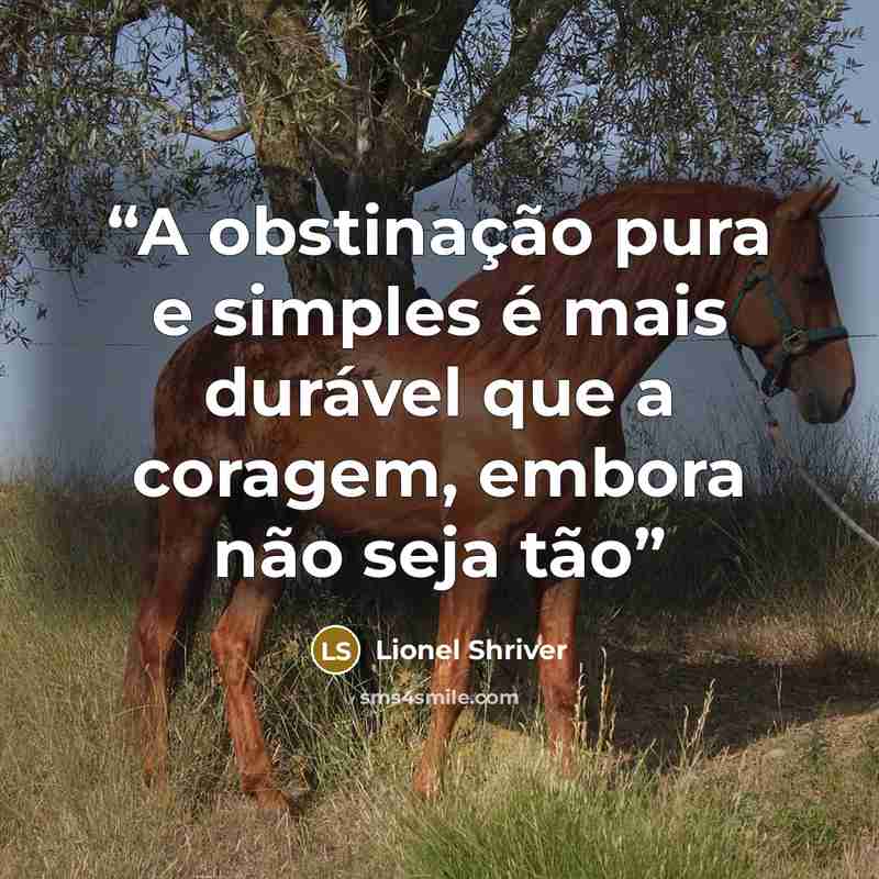 “A obstinação pura e simples é mais durável que a coragem, embora não seja tão” quote by Lionel Shriver