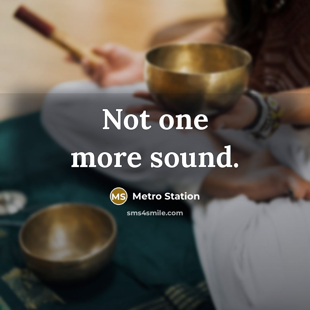 “Not one more sound.…” quote by Metro Station