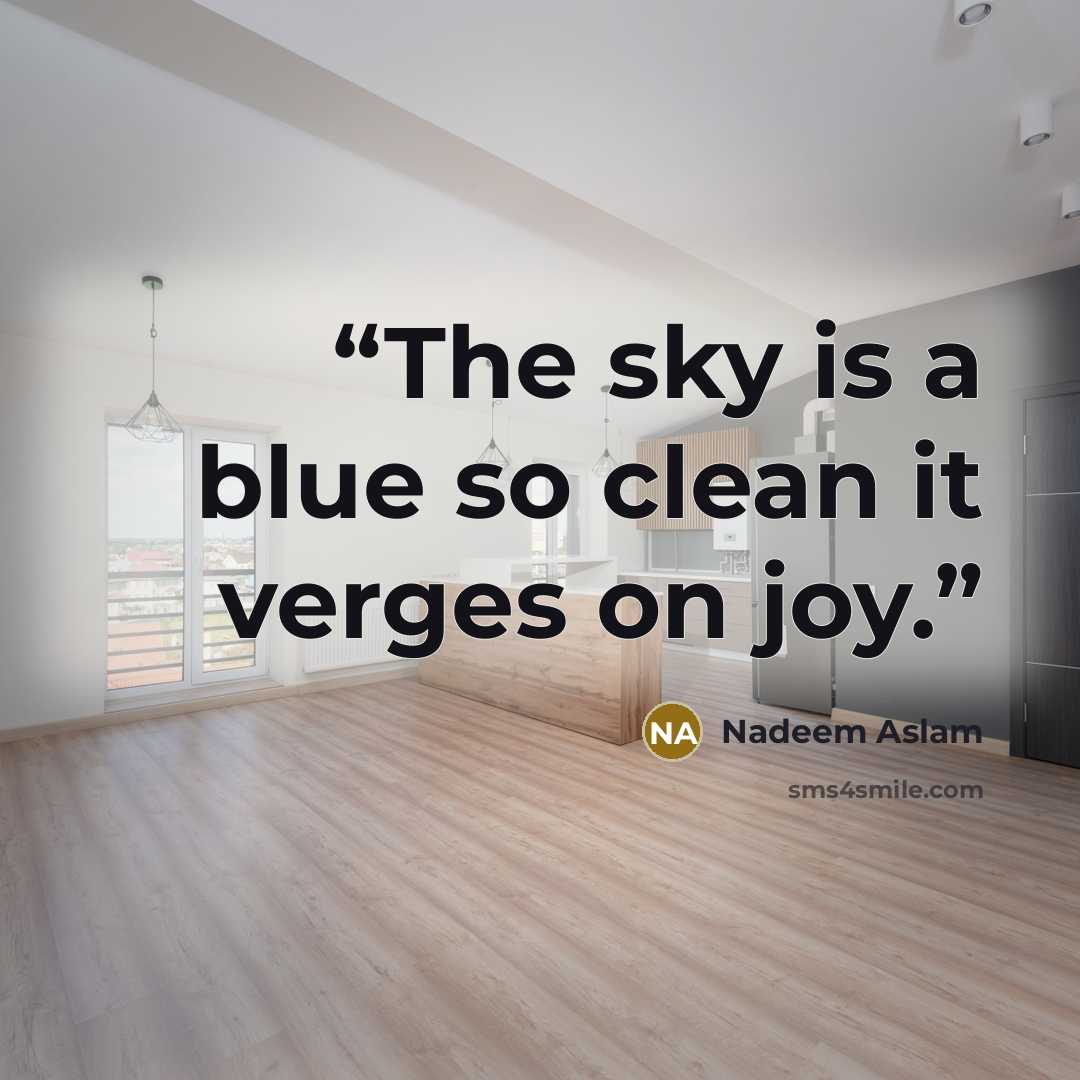 “The sky is a blue so clean it verges on joy.” quote by Nadeem Aslam