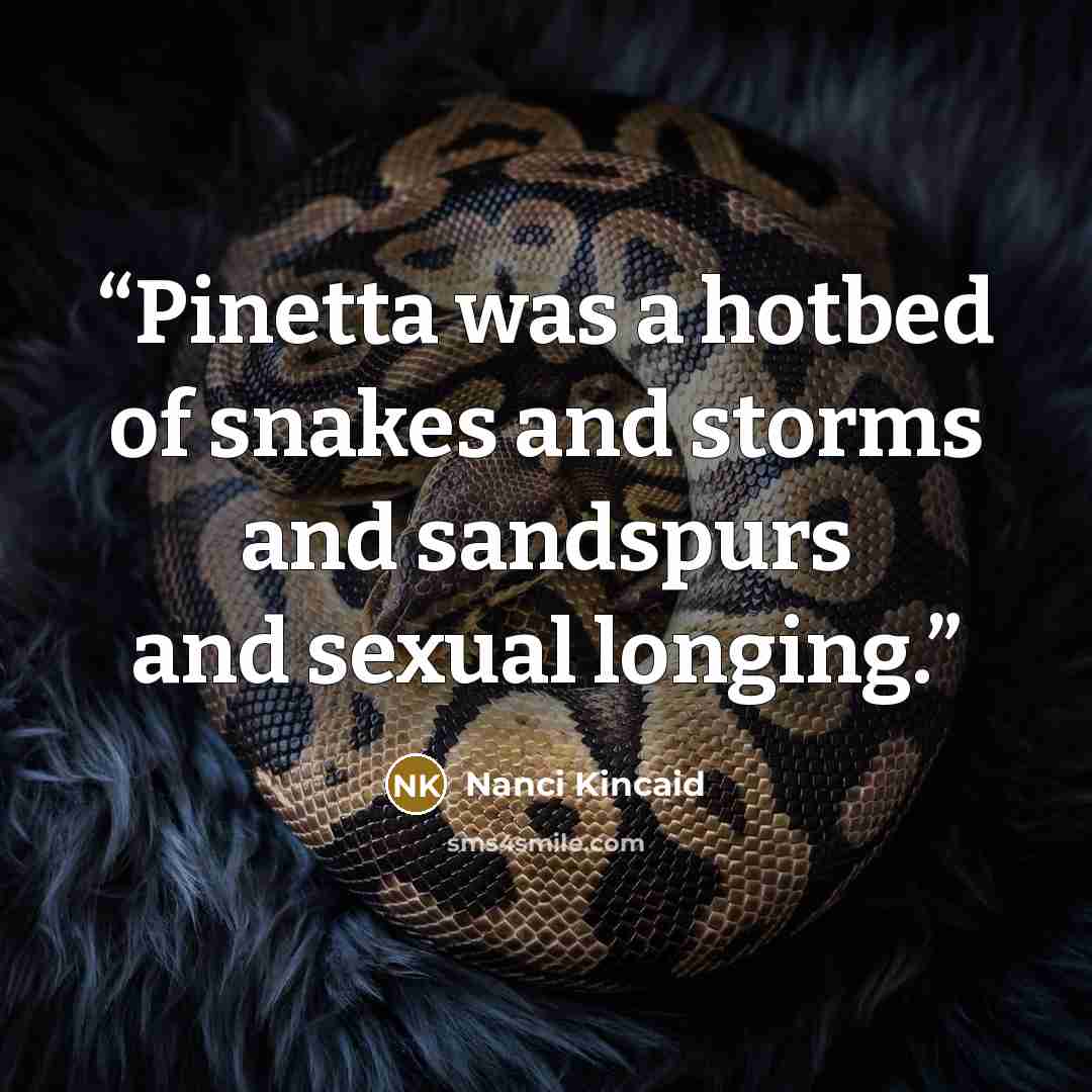 “Pinetta was a hotbed of snakes and storms and sandspurs and sexual longing.” quote by Nanci Kincaid