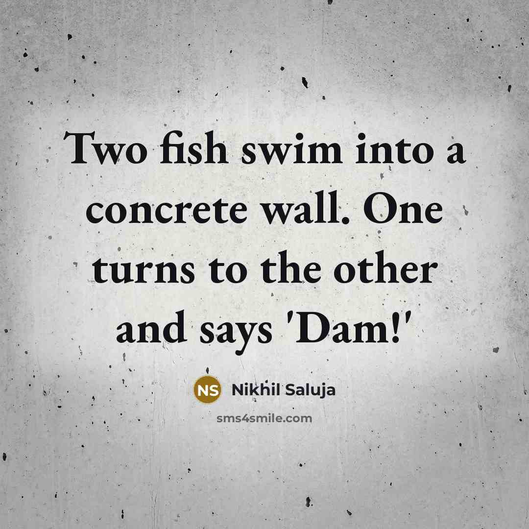 “Two fish swim into a concrete wall. One turns to…” quote by Nikhil Saluja
