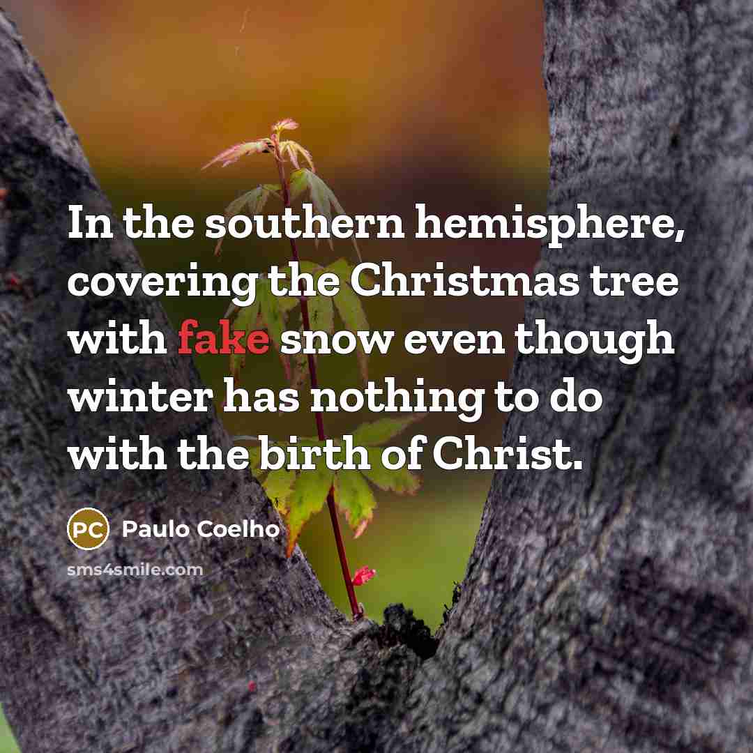 “In the southern hemisphere, covering the Christmas tree with fake…” quote by Paulo Coelho