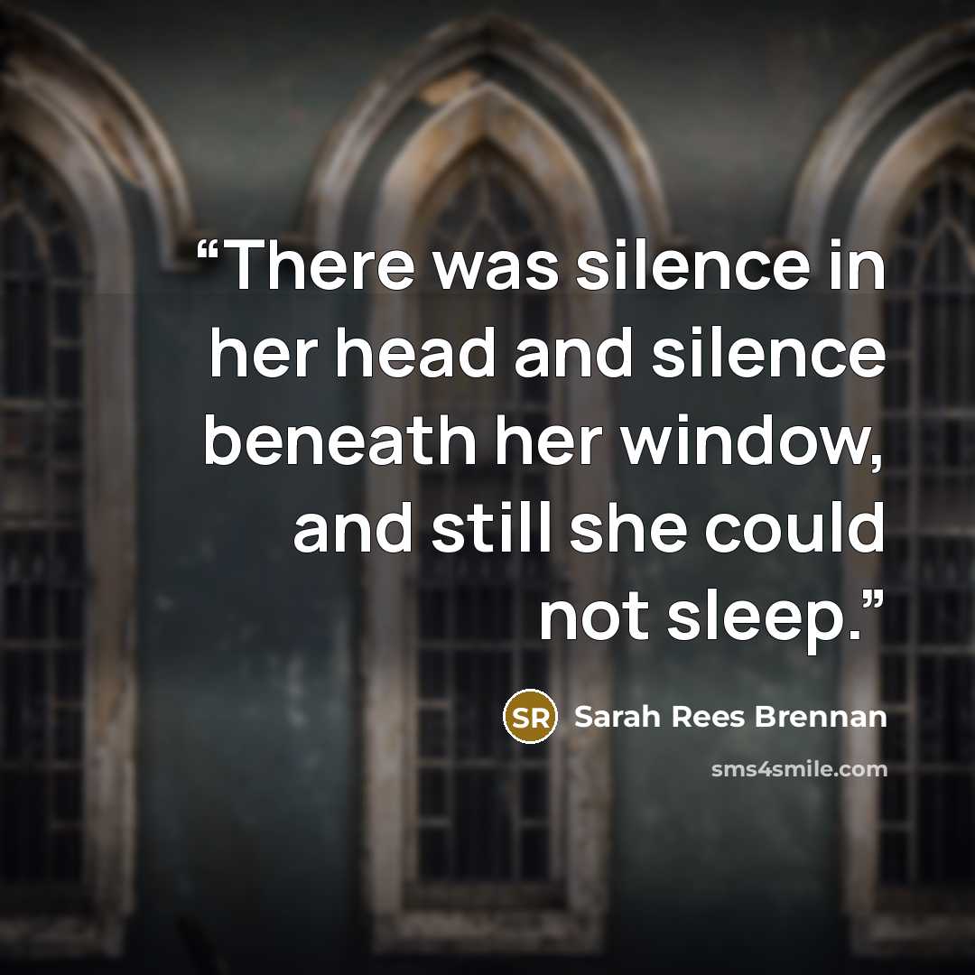 “There was silence in her head and silence beneath her window, and still she could not sleep.” quote by Sarah Rees Brennan
