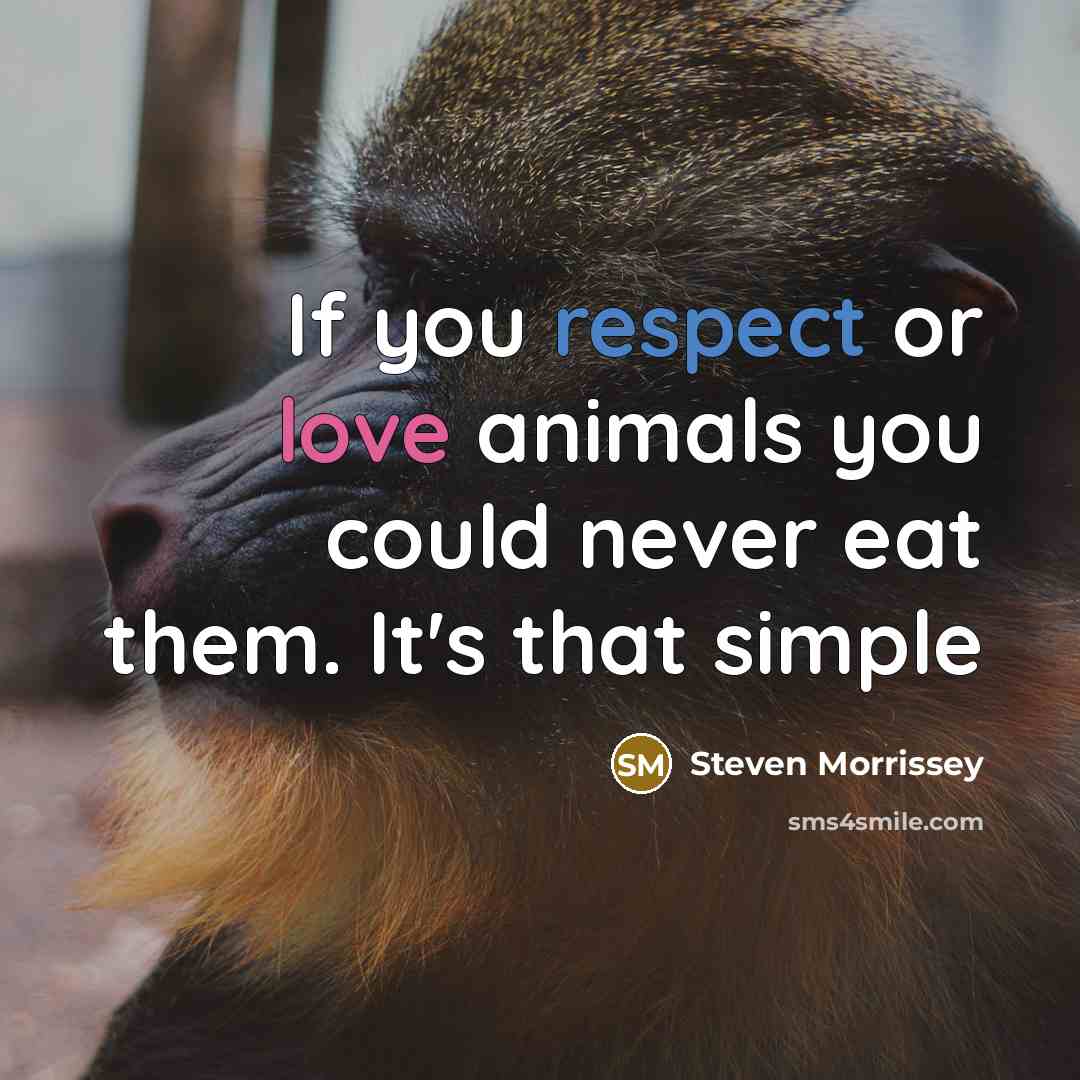 “If you respect or love animals you could never eat…” quote by Steven Morrissey