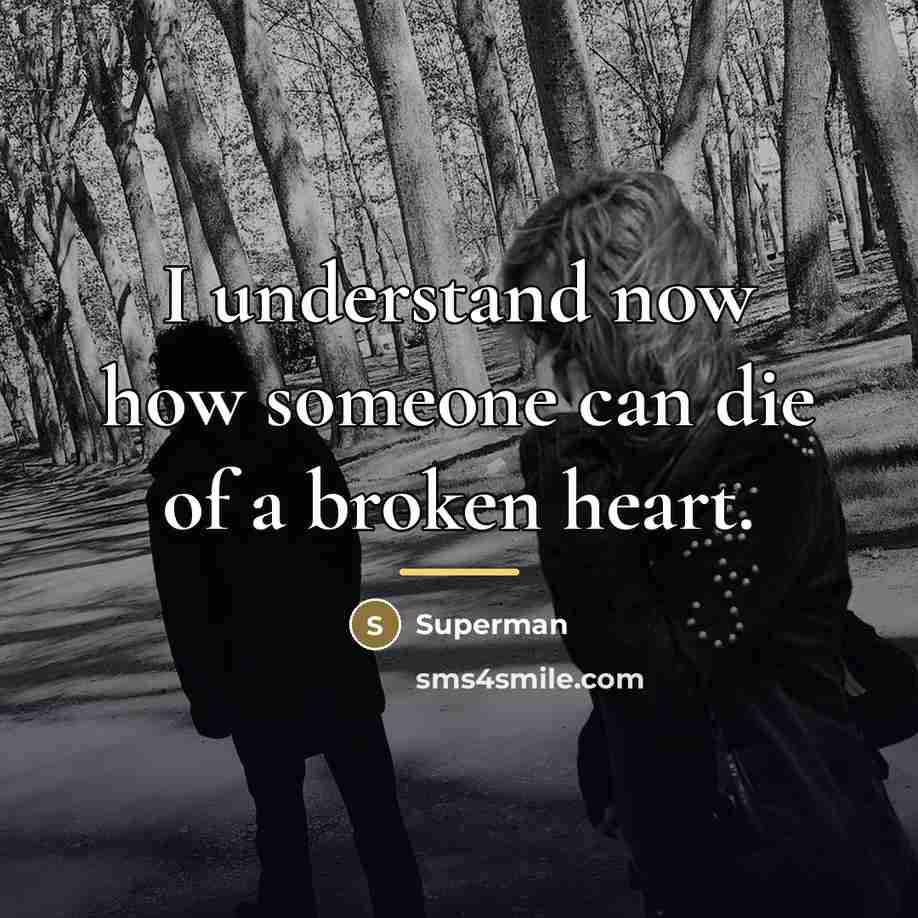 “I understand now how someone can die of a broken…” quote by Superman