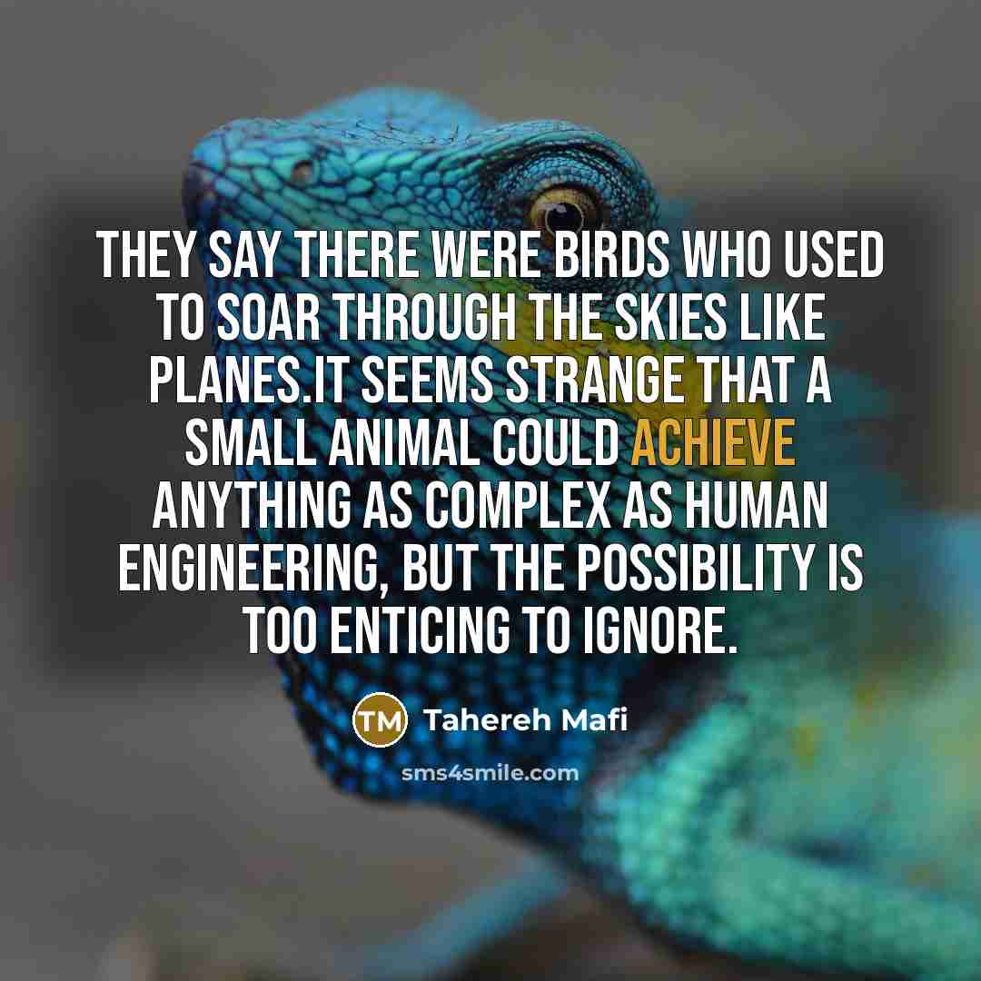 “They say there were birds who used to soar through…” quote by Tahereh Mafi