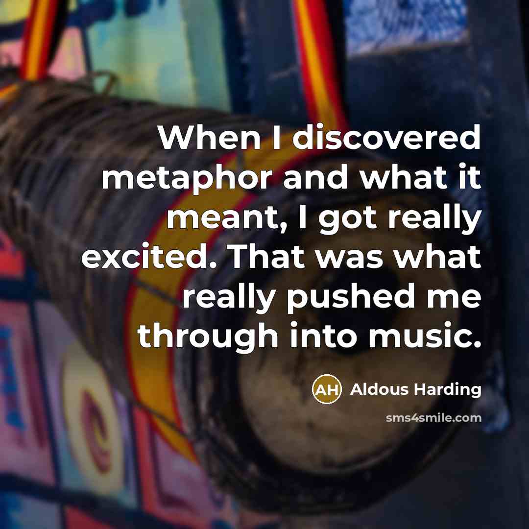 “When I discovered metaphor and what it meant, I got…” quote by Aldous Harding