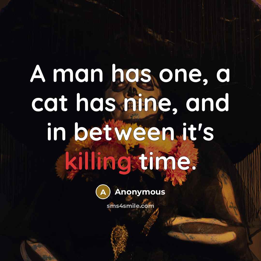 “A man has one, a cat has nine, and in…” quote by Anonymous