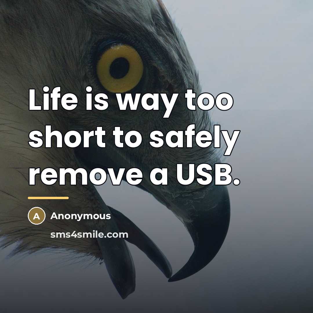 “Life is way too short to safely remove a USB.…” quote by Anonymous