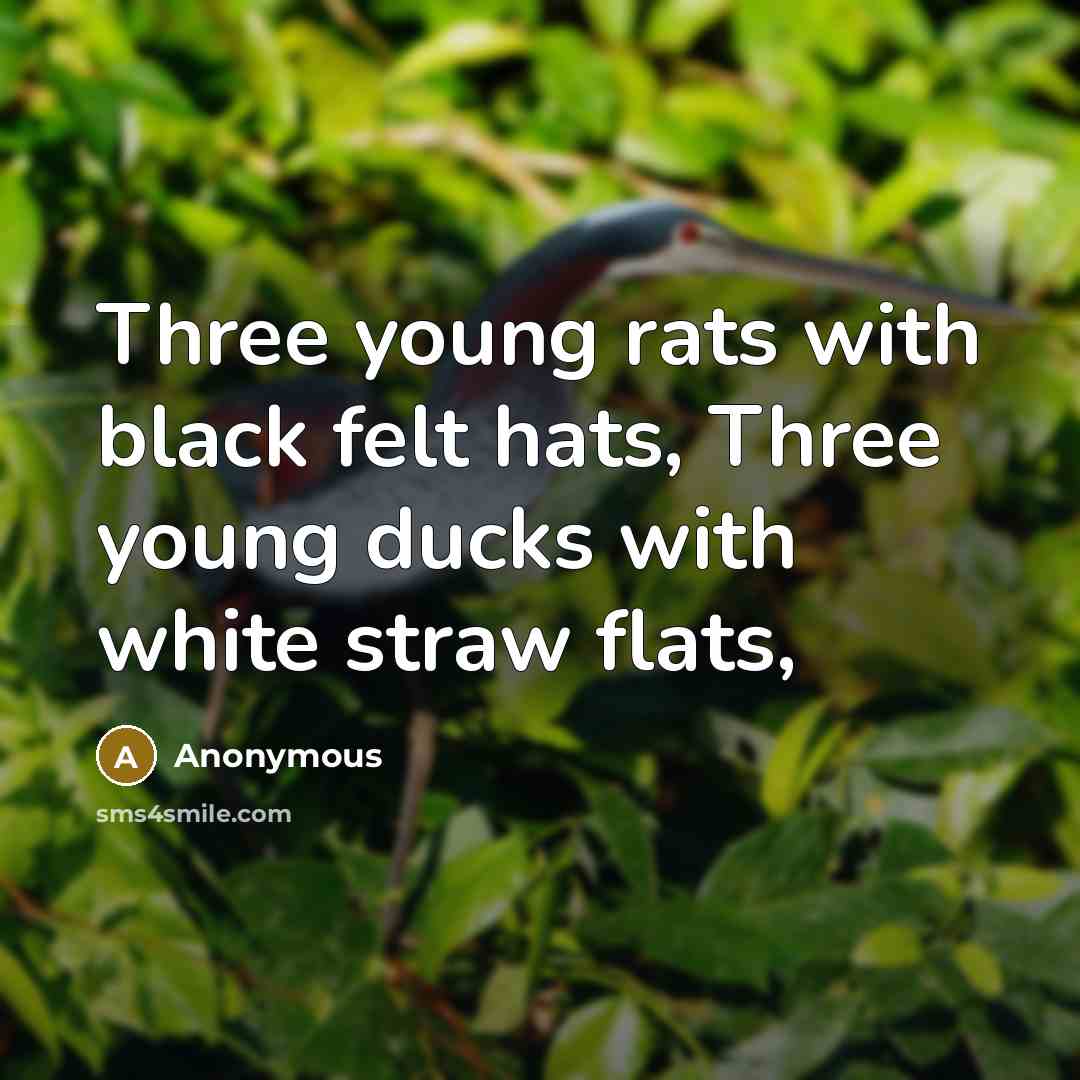 “Three young rats with black felt hats, Three young ducks with white straw flats,” quote by Anonymous