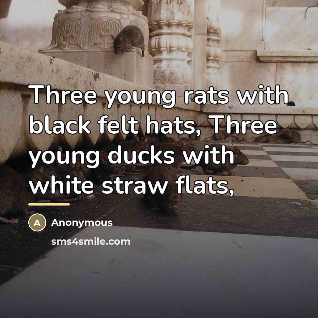 “Three young rats with black felt hats, Three young ducks…” quote by Anonymous